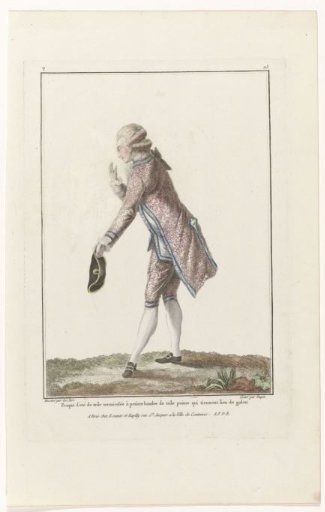 Gallery of French Fashions and Costumes, 1776, T 113: Summer Fraque of Cloth (...)