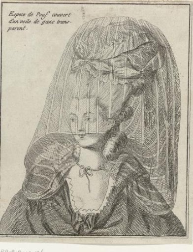 Gallery of French Fashions and Costumes 1776, C 17: Kind of Pouf (...)