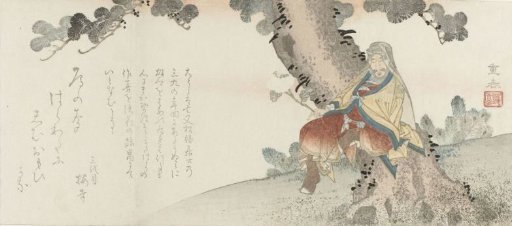 Man with a chrysanthemum sitting in a pine tree