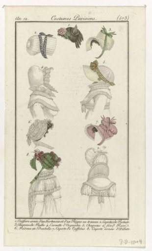 Journal des Dames et des Modes, Parisian Costume, 8 August 1804, Year 12, (573): 1. Hairstyle adorned with hydrangea (...)