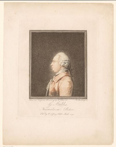 Portrait of George Stubbs