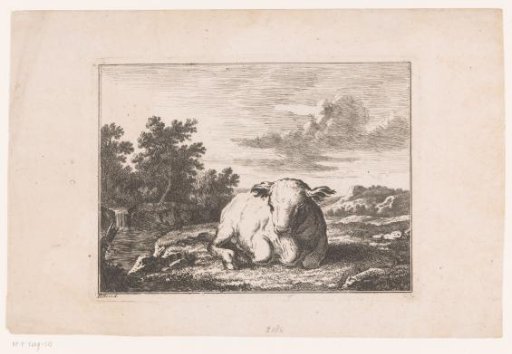 Landscape with a lying cow