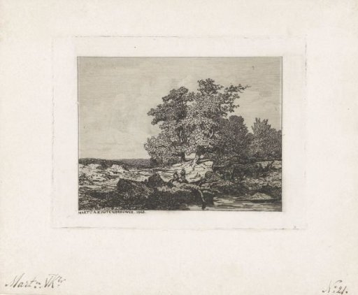 Landscape with oaks
