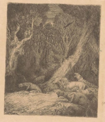 Wild animals in a forest