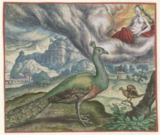 Fable of the Peacock and the Nightingale