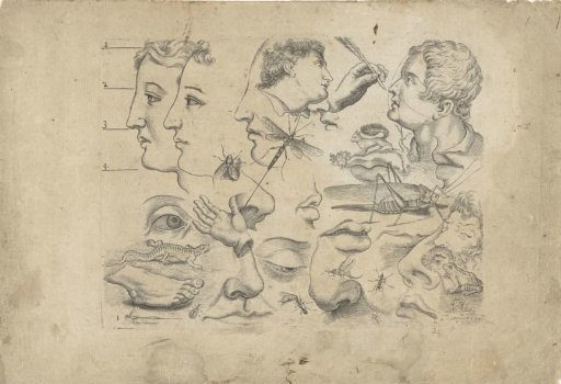 Study sheet with drawing examples: heads, body parts, and animals