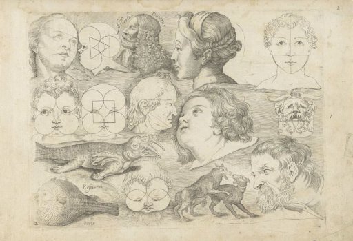 Study sheet with drawing examples: heads and animals