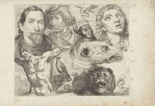 Study sheet with drawing examples: heads, torso, and animals