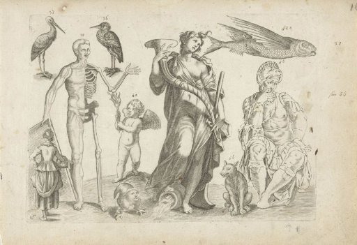 Study sheet with drawing examples: animals and various figures