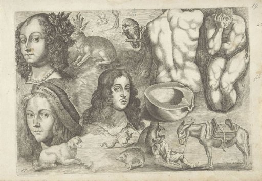 Study sheet with drawing examples: heads, animals, figures