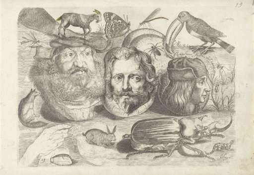Study sheet with drawing examples: portraits, animals, insects