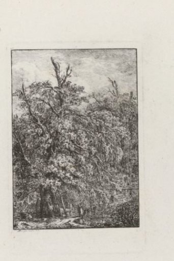 Landscape with a wooden house behind a tree