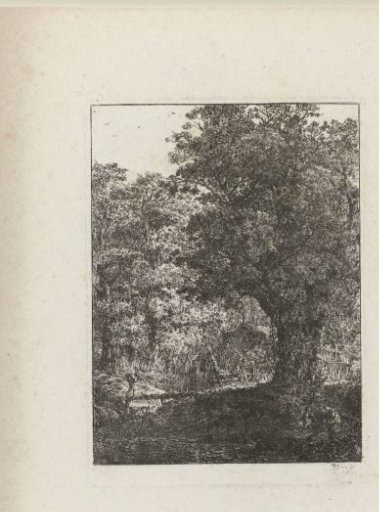 Forest landscape with a house