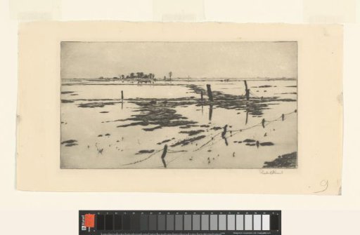 Drowned land