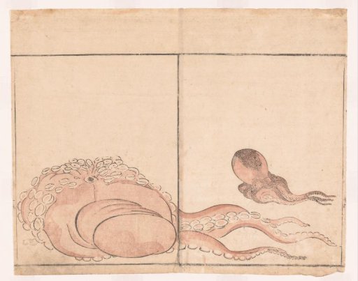 Two squids