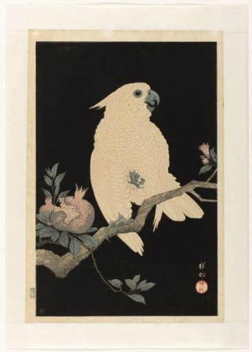 Cockatoo with a Pomegranate