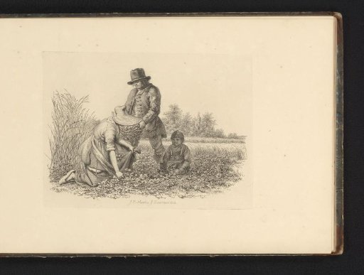 Potato diggers