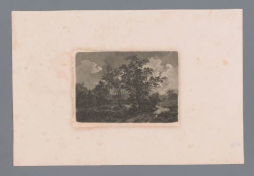 Nocturnal landscape with trees along a road