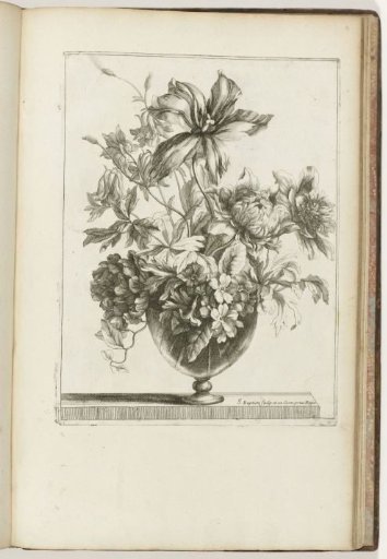 Bouquet in a Glass Vase