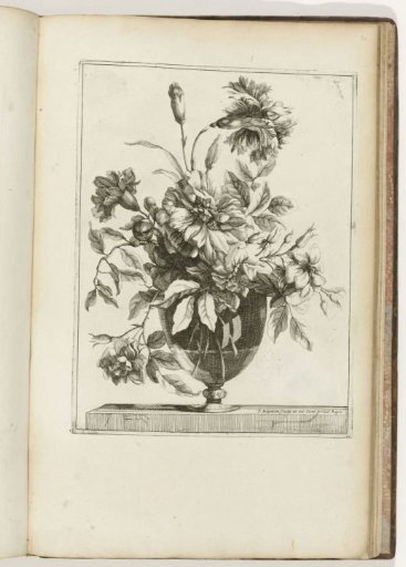 Man Looking into an Empty Jug