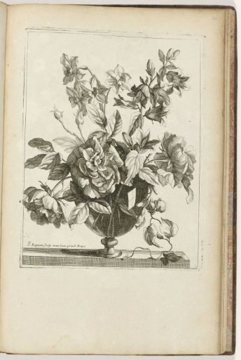 Bouquet in a Glass Vase