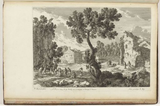Landscape