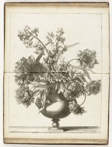 Basket of Flowers