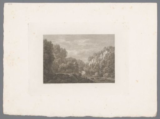 Forest View with a House by a River