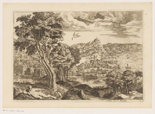 Coastal landscape with flying birds