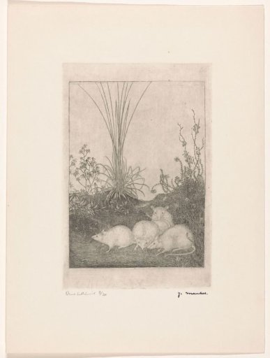 Four Mice