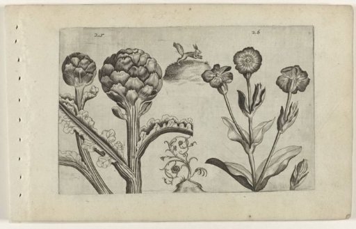Artichoke and prickly pear