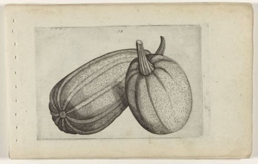 Two melons