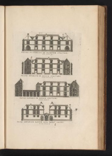 Views and sections