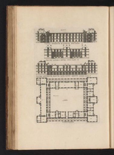 Section, views and plan