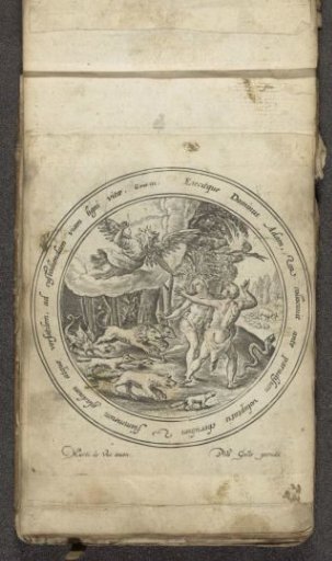 Expulsion from Paradise