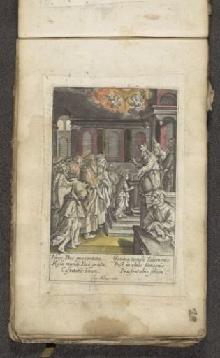 Presentation of Mary in the Temple