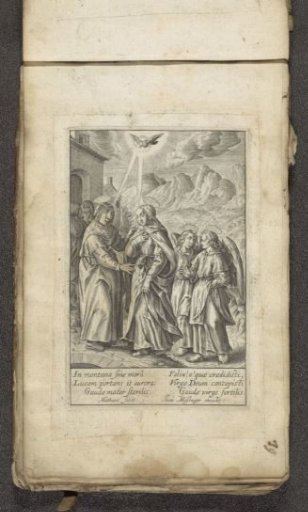 Visitation