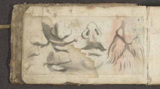 Four noses and five mouths