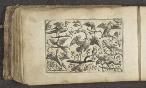 Crane and twelve other birds