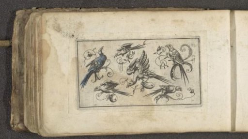 Six birds on branches with vines and fruit
