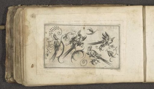 Four birds and two insects