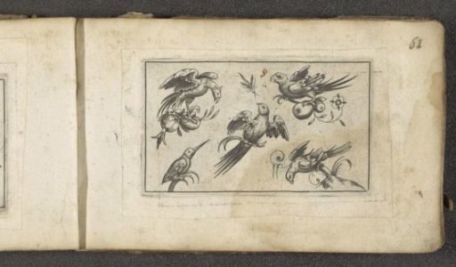 Five birds and a dragonfly