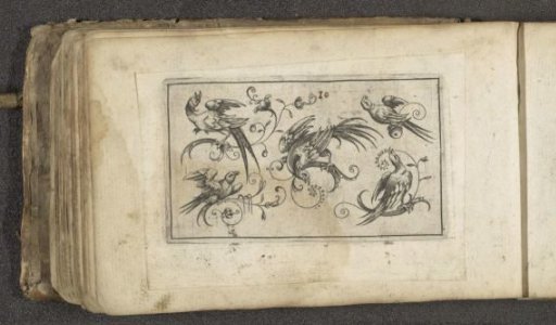 Five birds on branches with vines