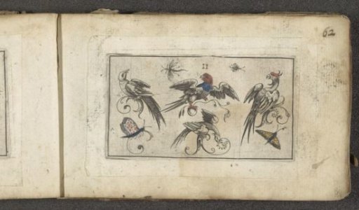Four birds, two butterflies and two insects