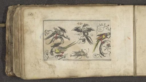 Four birds and a grasshopper