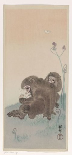 Two monkeys with a butterfly