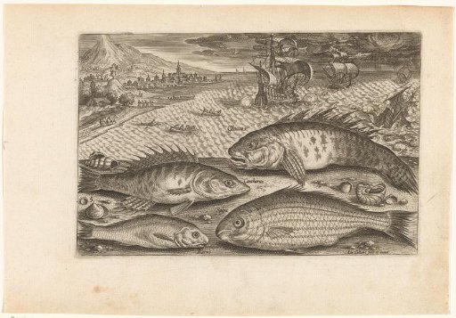 Four fish on the beach