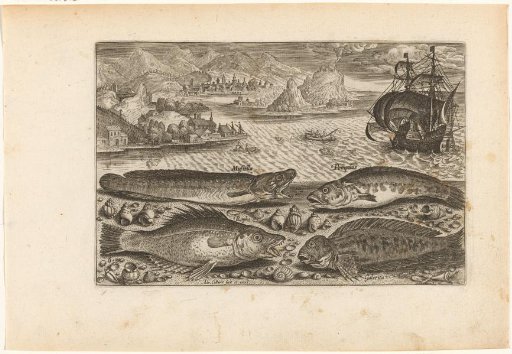 Four fish on the beach