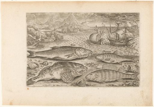 Four fish on the beach