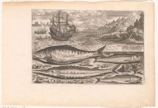 Four fish on the beach